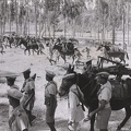 Second Italo-Ethiopian War