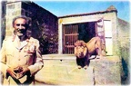 H.I.M.-Haile-Selassie-I-Lion2