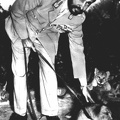 Haile Selassie with lion cubs