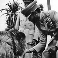 Haile-Selassie-I-Lion